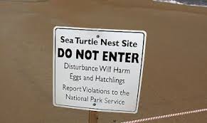 turtle nest site sign