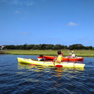 kayak nature tour hatteras ocean island center